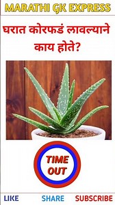 घरात कोरफडं लावल्याने होतो हा बदल 😱 | General knowledge quiz | #shots #facts #trivia