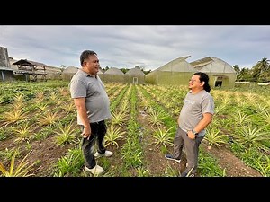 Engineer during office hour. Farmer after work! Bigtime kita mapa open field at Greenhouse farming