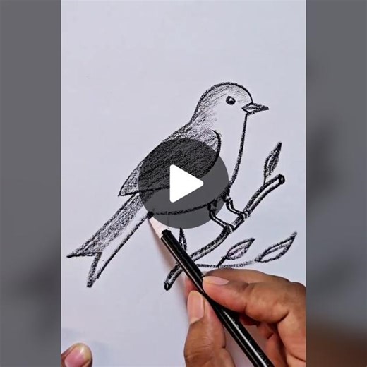 Bird Drawing Easily #howtodraw #viralvideo #Drawing
