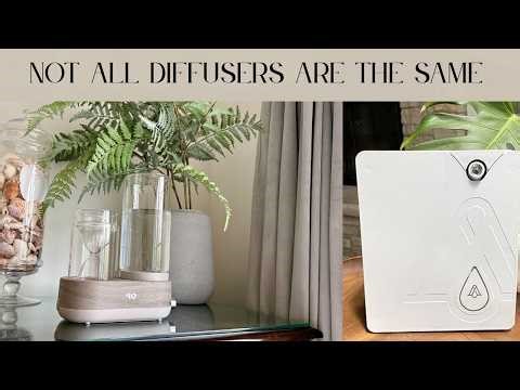 What Kind of Diffuser Is Best? Y&O Non Toxic Glass Diffuser Review