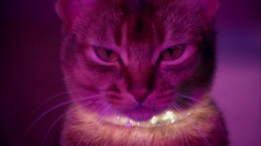 The Cat From Outer Space (1978) (1080p)🌻 Animation & Family Movies