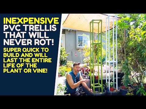 Easy, quick and inexpensive DIY PVC trellis for a container that will never rot. plant!