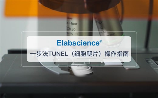 Elabscience_一步法TUNEL(细胞爬片)样本的操作指南