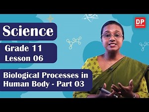 Lesson 06 - Biological Processes in Human Body (Part 03) | Grade 11 Science in English