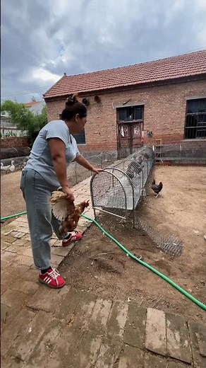 Foldable Chicken Run - Simple, Clean, and Smart Farming Solution #chickencoop #pets #poultryfarming
