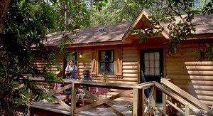 Discover the magic of the great... - Walt Disney World