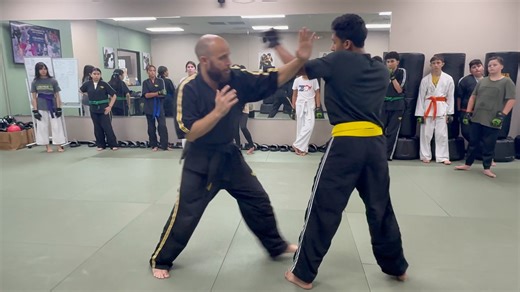 1K views · 26 reactions | Hung Gar Kung Fu: Create BRIDGES, TRAPS,...