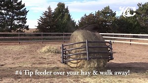 4.4K views · 37 reactions | We still have a few Century Livestock Feeders in stock! 8' x 32" for $300 (unassembled) Want to add a net? Receive a 10% discount on the net! Does your horse have shoes? Ask about the skirting kit. Pick up at our shop in Taylors Falls! We are open Mon-Fri 8am til 3pm. Call 651-404-7377 or email info@haychix.com for more information | Hay Chix | Facebook