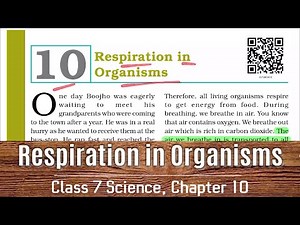 Class 7 Science Chapter 10 | NCERT | Respiration in Organisms