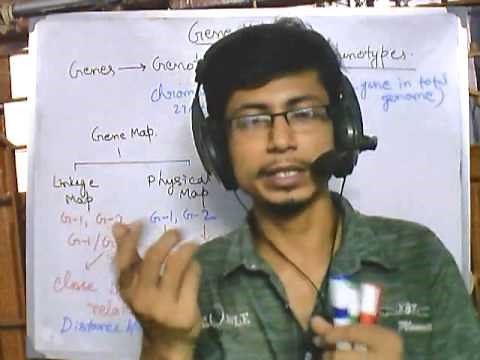 Introduction to gene mapping (gene mapping part 1)