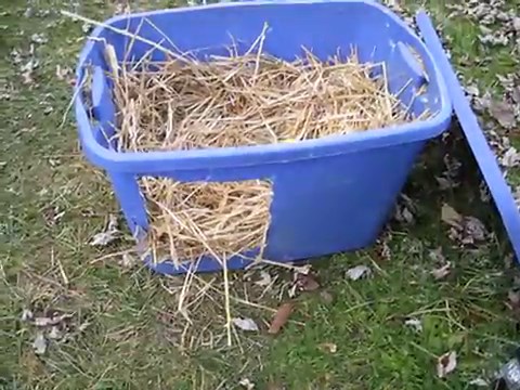 21 DIY Nesting Box Plans and Ideas You Can Build in One Day