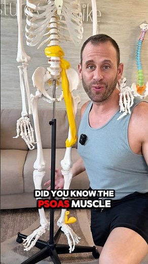 The Psoas Muscle: The Most Important Muscle for Posture
