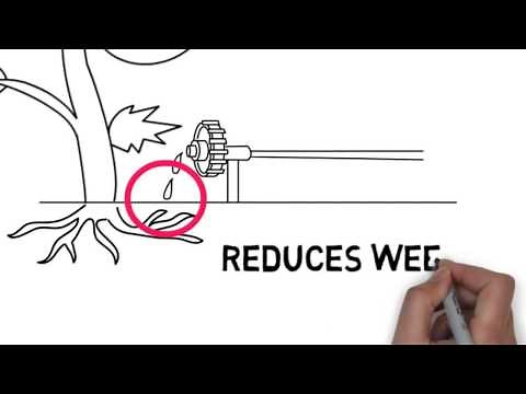 What is Drip Irrigation?