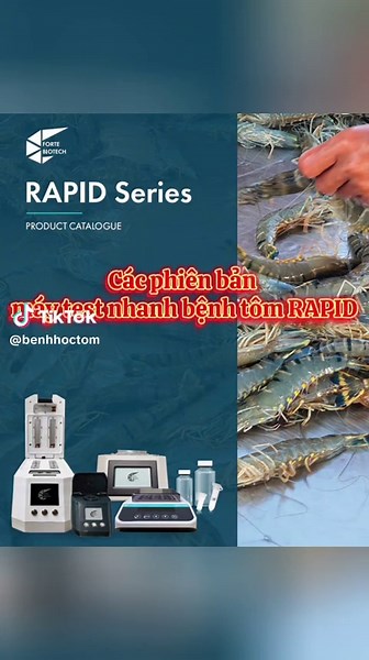 Tham khảo các dòng máy RAPID test nhanh bệnh trên tôm bằng phương pháp LAMP PCR #ShrimpLab #nuoitomcongnghecao #congnghesinhhoc #xuhuongtiktok #boxetnghiemRapid #lampcr