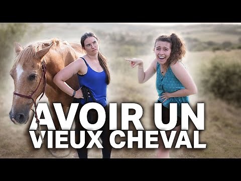 AVOIR UN VIEUX CHEVAL