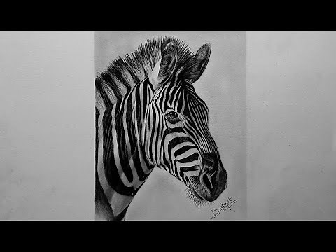 How to Draw a Realistic Zebra | Realistic Zebra Sketch Tutorial for Beginners | Step by Step