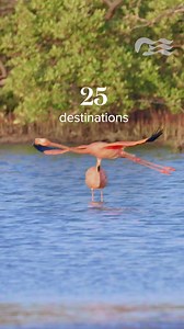 Book now to snag the best fares (save your dollars for beachside cocktails) and get ready for an epic adventure | Princess Cruises | Facebook