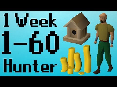 [OSRS] 1-60 Hunter in 1 Week Without Training Hunter