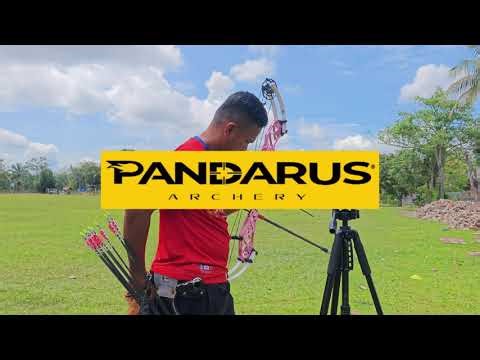 Pandarus Cambrian 40 Compound Bow