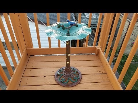 Bird Bath Restoration