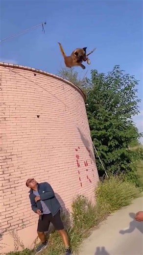 Incredible Underwater Hunting Skills of Fish