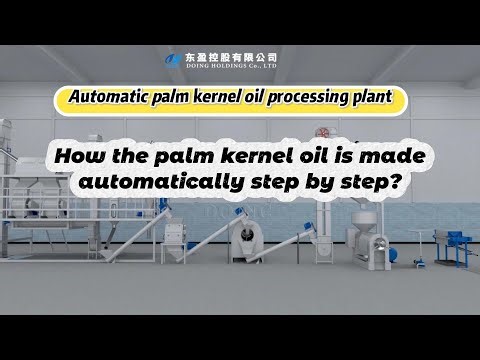 Palm Kernel Oil Extraction Plant: Fully Automatic Small-Scale Processing Line Step-by-Step #machine