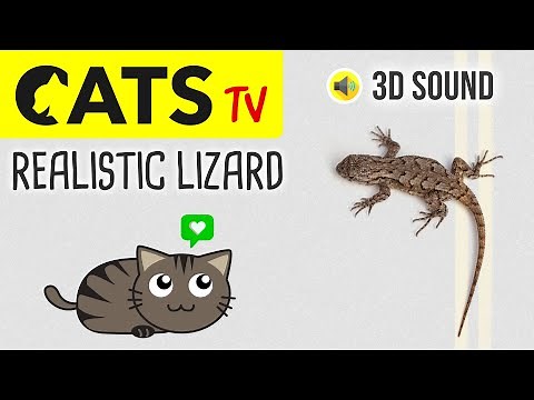 CATS TV - Realistic Lizard 🦎 3 HOURS (Game for Cats on Screen)