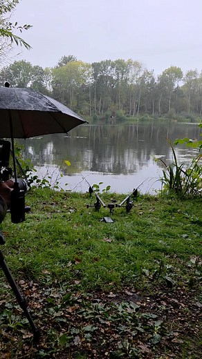 98K views · 623 reactions | A view of my swim at Frank Warwick's...