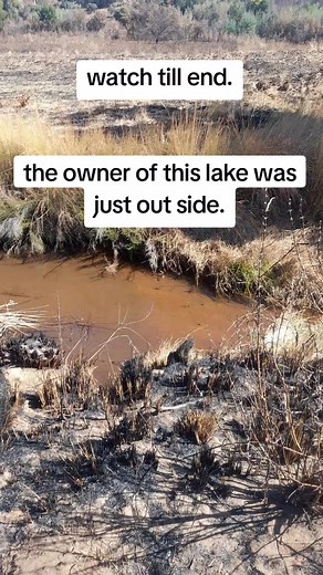 Inkanyamba Snake Sightings: Myths vs Reality