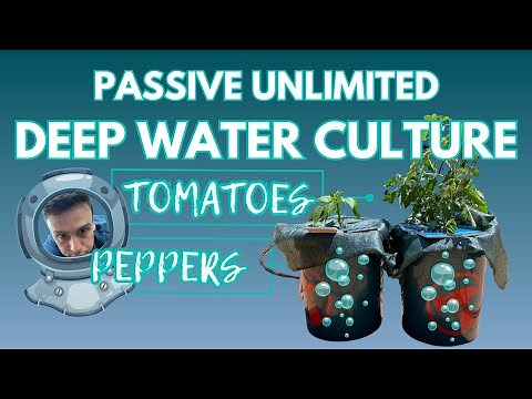 DIY Unlimited Deep Water Culture (DWC): Step-by-Step Guide to Automate Your Hydroponic Systems