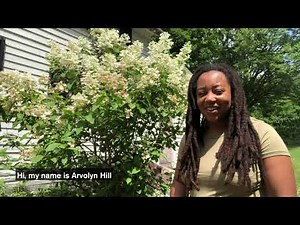 Learn About Pollinators