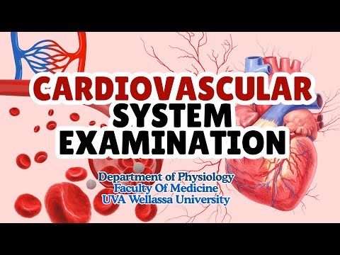 Cardiovascular System Examination 🫀 | Step-by-Step