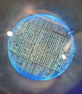 Zooming into an iPhone CPU is Wild!