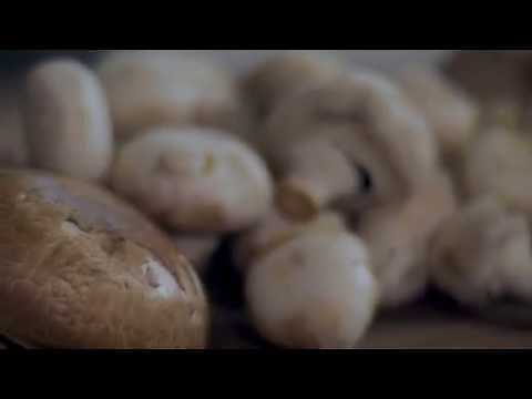 Six Simple Ways to Prepare Mushrooms