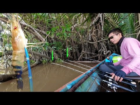 A relaxing and enjoyable day for prawn fishing