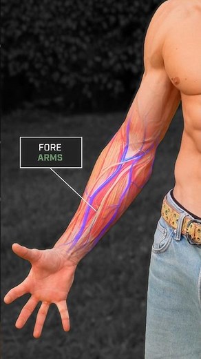 THE SECRET WORKOUT FOR SHREDDED FOREARMS🔥
