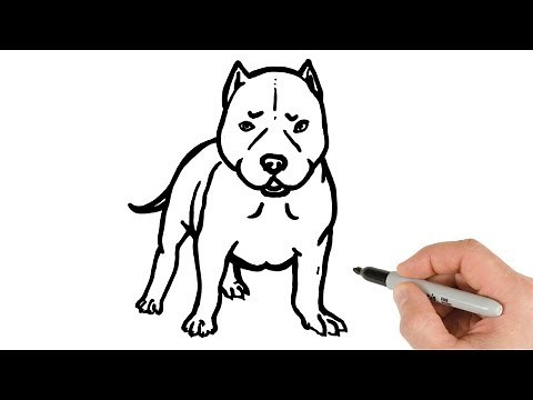 How to Draw Pitbull Puppy Easy