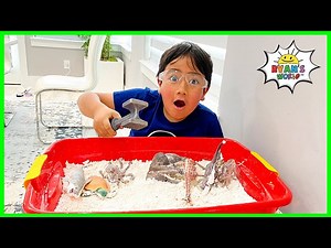 Easy DIY Science Experiment for Kids How to make Dinosaur Fossil Dig Exploration! - Videos For Kids