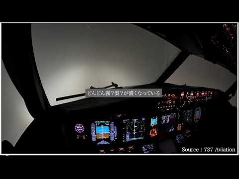 【コックピット映像切抜き】Boeing 737が自動操縦でILSアプローチ〜着陸！滑走路が着陸ギリギリまで見えない〜ILS CatⅡApproach〜