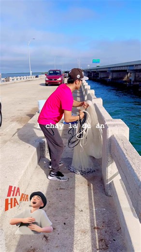 10K views · 44 reactions | Dat Nguyen on Reels | Facebook