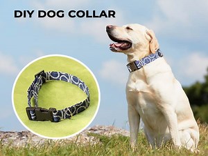 DIY Dog Collar - How To Sew A Dog Collar ⋆ Hello Sewing