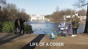 26K views · 823 reactions | LIFE OF A CODER | Daily Coding | Facebook