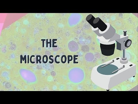The microscope: Parts and Functions
