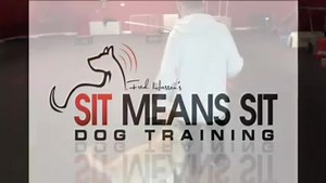 14 reactions | Teaching a dog to weave using remote collar and place boards. | Sit Means Sit Dog Training | Facebook
