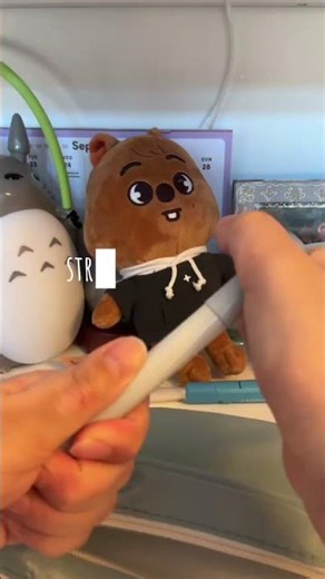 packing my new pencil case! #pencilcase #calm