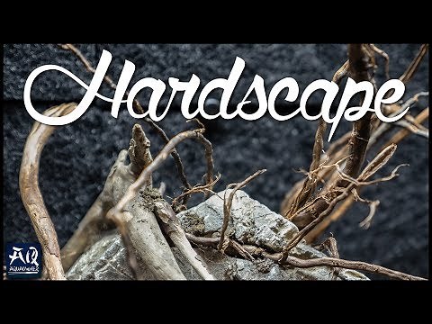 Aquarium gestalten für Anfänger | AquaOwner