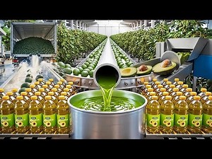 How Factories Turn Avocados Into Oil 🥑 (Fascinating Process)