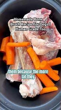 Homemade Bone Broth Recipe For Dogs | Human Grade Too