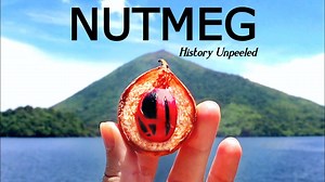 Nutmeg: History Unpeeled