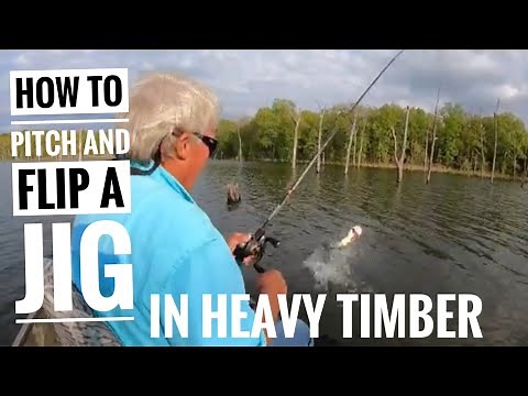 How to fish a jig in timber